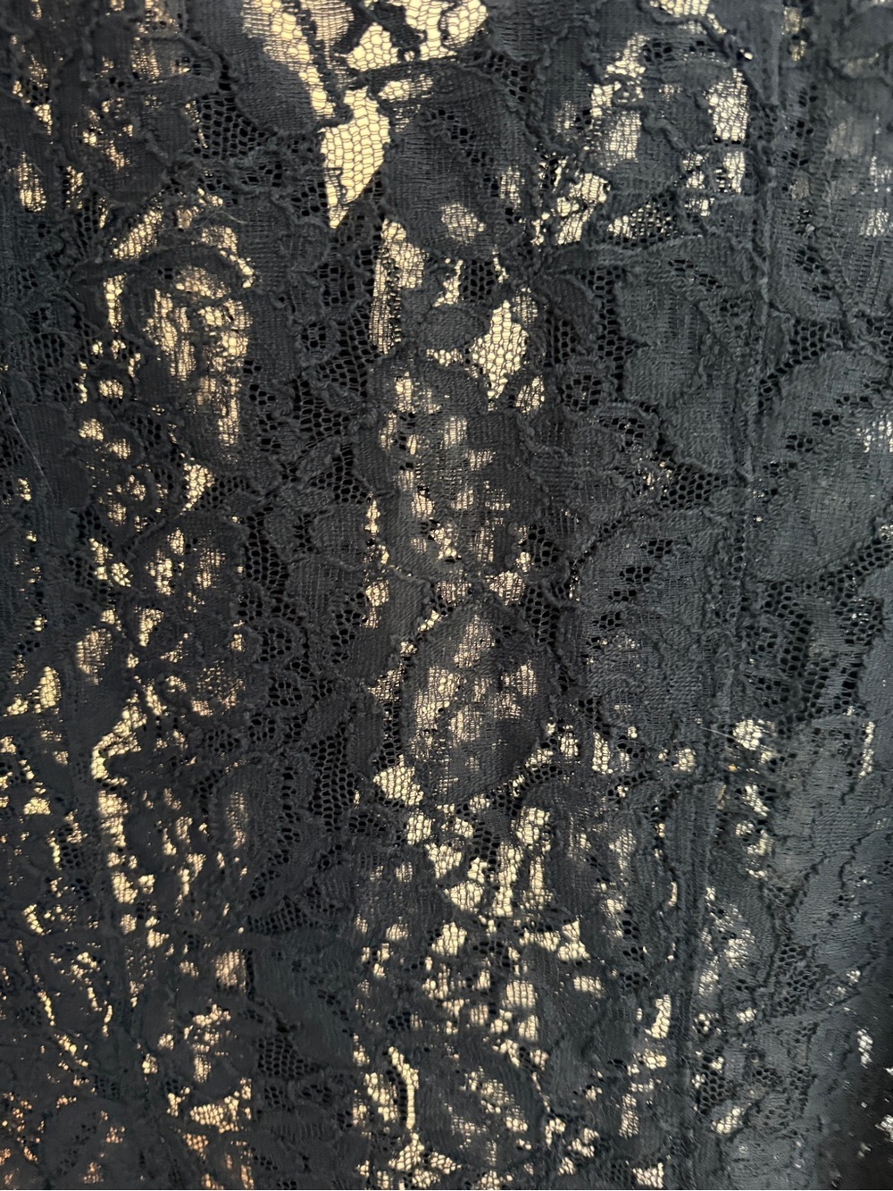 Luxury Designer Sheer Black Lace Button-Front Blouse (QUIET LUXURY) - Picture 3 of 5